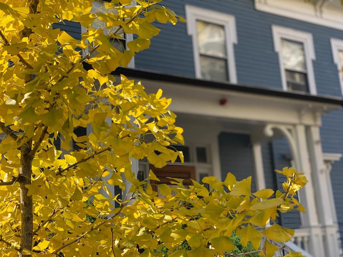 Ginkgo House On Harvard Кембридж Экстерьер фото