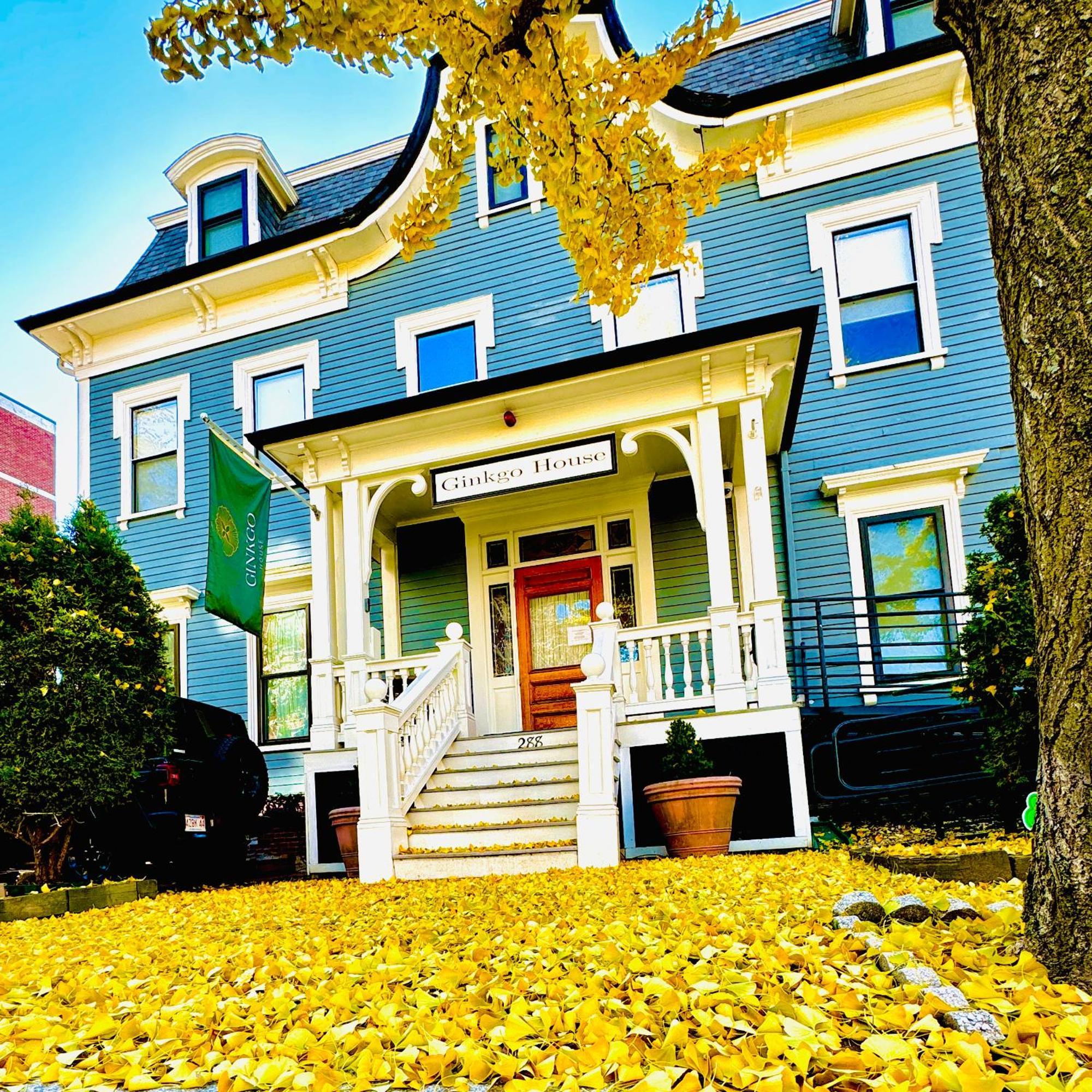 Ginkgo House On Harvard Кембридж Экстерьер фото